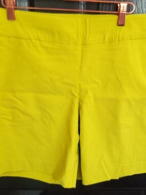 New York & Company Lime Green Chino Shorts Sz. M